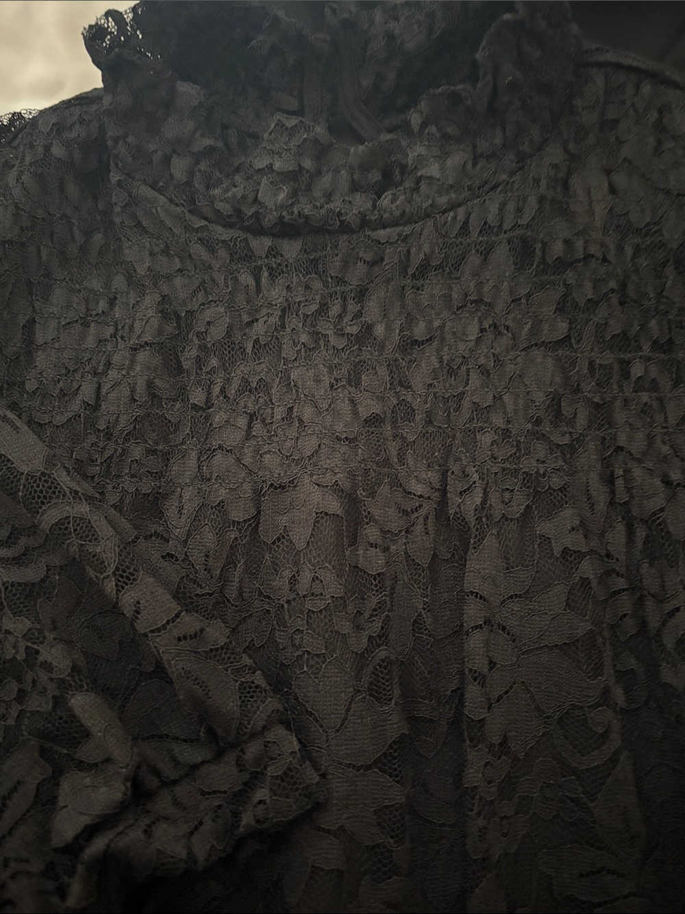 Cable & Gauge Black Lace Short Sleeve Blouse - Picture 10 of 12